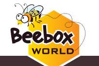 Beebox World, une équipe jeune et dynamique prête à relever tous les défis