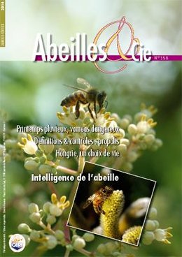 Abeilles&Cie 158