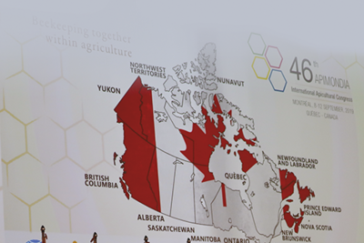 APIMONDIA 3 : L'Apiculture professionnelle au Canada : présentation générale d'une hyper-apiculture