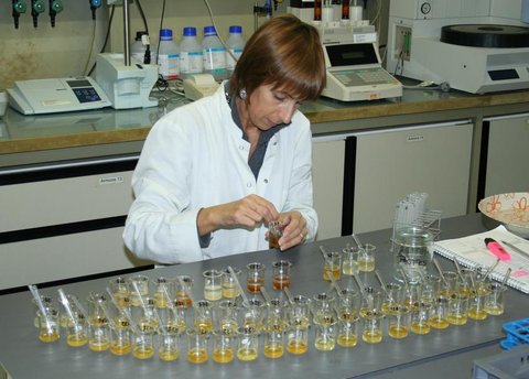 Les propolis, question de doses et de composition Nicolas Cardinault, Directeur Nutri-Sciences de l'Observatoire Français d'Apidologie (OFA) 