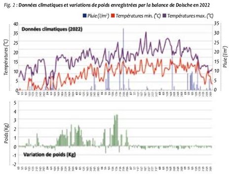 Bilan 2022, une année au climat record : chaude, sèche et ensoleillée Carine Massaux, Orianne Rollin et Victor Herman